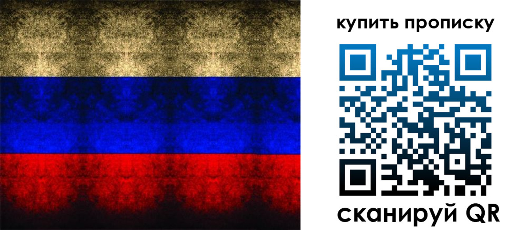 прописка в Выборге